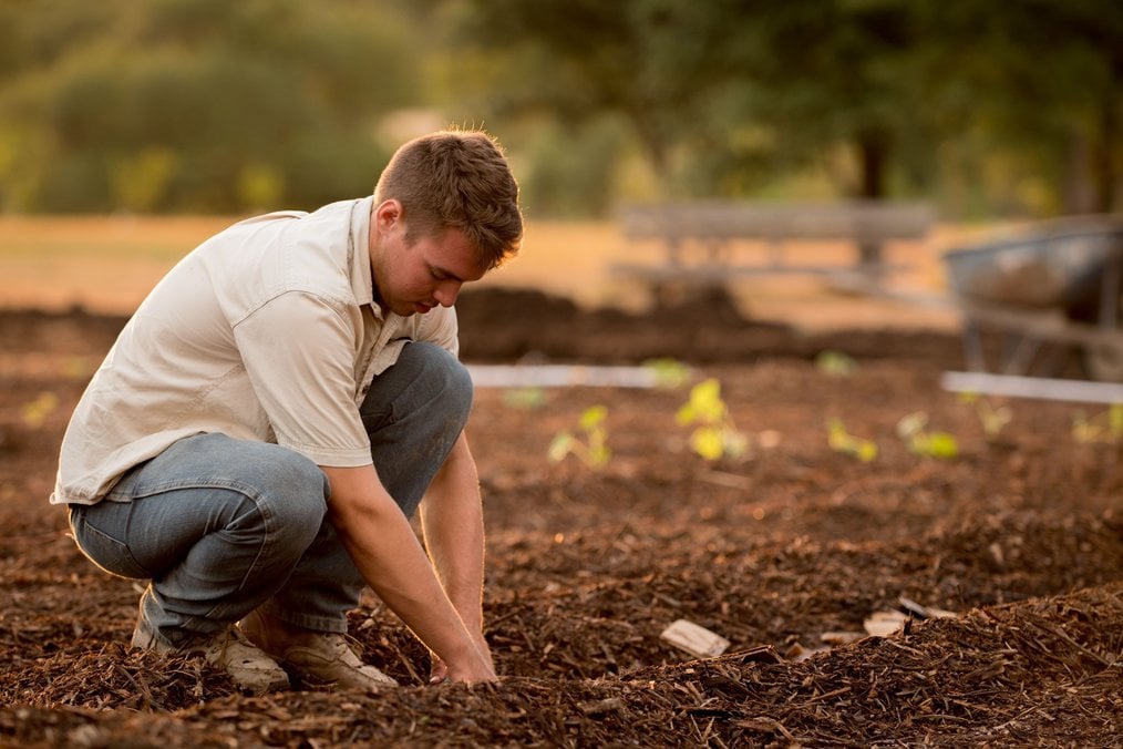 WWOOF--FAQ